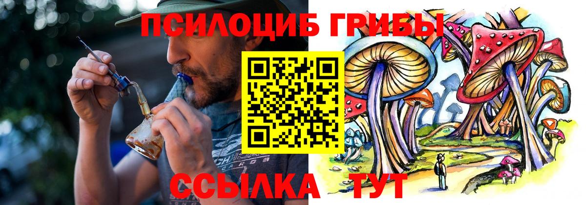 Галлюциногенные грибы Cubensis  Вход с VPN  купить   Елец 