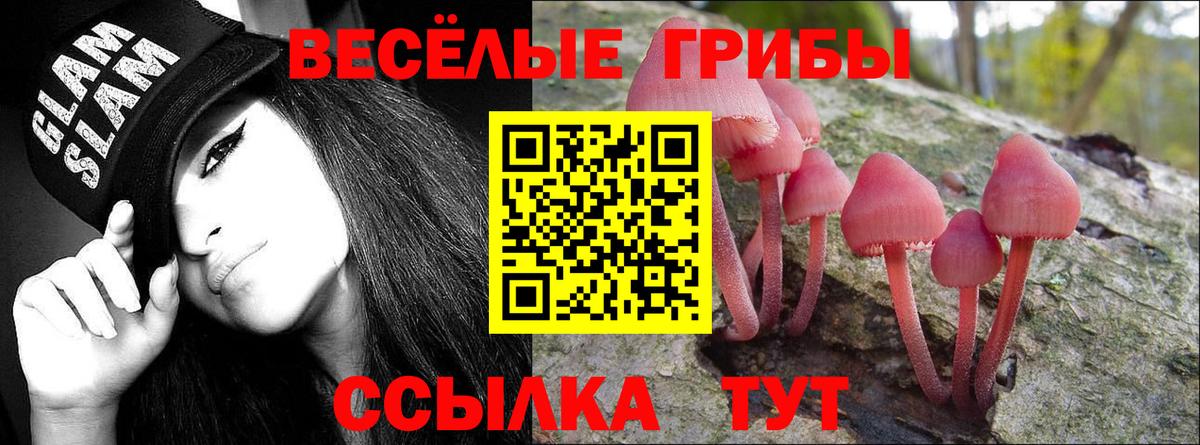 Псилоцибиновые грибы Cubensis Елец